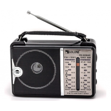 РадиоприемникGolon RX-606 АС (40)